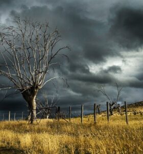 geworteld storm